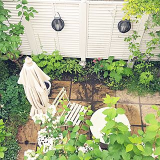 ガーデン/植物のある暮らし/狭小庭/玄関/入り口のインテリア実例 - 2017-06-25 08:05:51