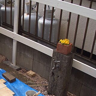 玄関/入り口/DIY/庭/過去/DIYフェンス...などのインテリア実例 - 2013-04-19 17:30:03