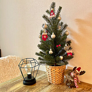 リビング/クリスマスツリー/観葉植物/IKEA/雑貨...などのインテリア実例 - 2023-12-03 00:42:52