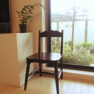 リビング/植物/IKEA/椅子が好きのインテリア実例 - 2014-07-07 09:38:00