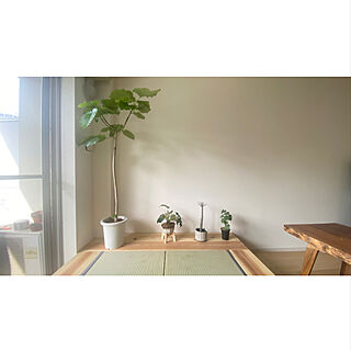 畳/小上がり/観葉植物/DIY/1枚板テーブル...などのインテリア実例 - 2021-09-13 08:29:33