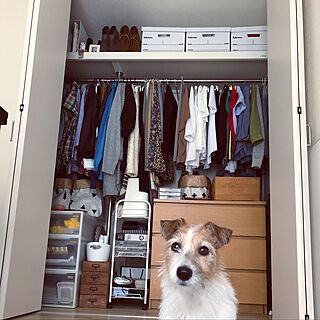 棚/洋服/クローゼット/犬と暮らす/IKEA...などのインテリア実例 - 2018-09-04 13:00:01