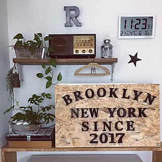 キッチン/ヒメモンステラ/Brooklyn/BROOKLYN NEW YORK/観葉植物...などのインテリア実例 - 2017-06-04 21:57:03
