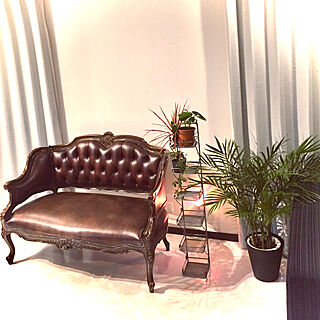 椅子/観葉植物/リビング/お気に入りのソファ/アロマライトの光のインテリア実例 - 2020-03-14 19:01:52