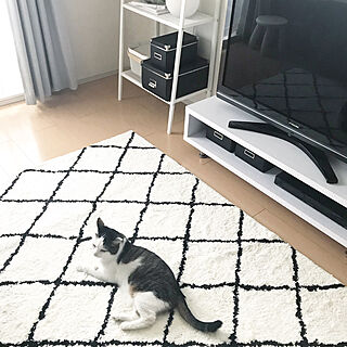 リビング/IKEA/シンプルインテリア/ねこと暮らす。/イームズ...などのインテリア実例 - 2018-06-15 06:53:51