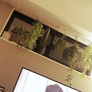 観葉植物/ZARA HOME/モダン/キャンドル/westelm...などのインテリア実例 - 2019-03-16 03:31:09