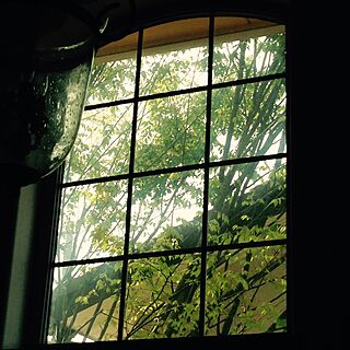 壁/天井/格子窓/吹き抜け/シンボルツリーのインテリア実例 - 2016-05-01 09:18:01