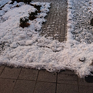 玄関/入り口/玄関外/久しぶりの雪のインテリア実例 - 2018-01-23 07:42:43