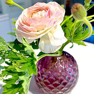 玄関/入り口/ミニブーケ/まあるい花瓶/紫色の花瓶/フラワーベース...などのインテリア実例 - 2024-01-17 03:48:18