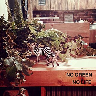 キッチン/NO GREEN NO LIFE/シュライヒ/カウンター上♥︎/DIY...などのインテリア実例 - 2014-08-28 19:13:03