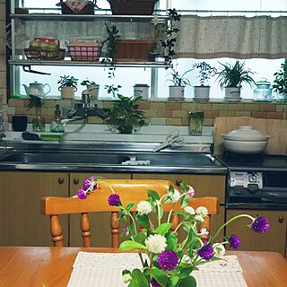 キッチン/雑貨さんのかご/フェイクグリーン/観葉植物　のインテリア実例 - 2016-09-12 15:00:09