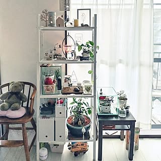 壁/天井/無印良品/IKEA/グリーン/ガジュマル...などのインテリア実例 - 2024-04-10 07:13:15