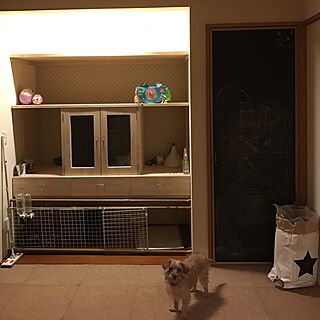 壁/天井/犬/黒板シート/DIY/コルクマットのインテリア実例 - 2016-11-19 16:58:11