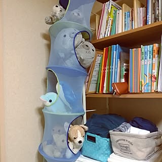 棚/子供部屋/仮住まいです。/年の差兄弟で合部屋/まだまだ改良の余地あり。...などのインテリア実例 - 2016-09-12 18:14:05