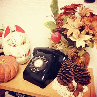 棚/レトロ/黒電話/植物のインテリア実例 - 2013-09-11 22:57:10