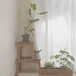 リビング/緑のある暮らし/カフェ風/DIY/IKEA...などのインテリア実例 - 2016-07-16 23:35:31