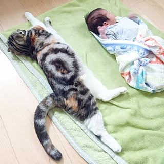 takiko0407さんの実例写真