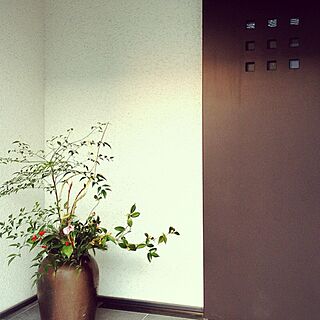 玄関/入り口/観葉植物/植物/玄関入口のインテリア実例 - 2014-03-10 20:19:45