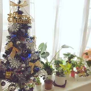 リビング/父からのプレゼント/クリスマスツリー/観葉植物/築27年賃貸...などのインテリア実例 - 2016-11-19 20:35:23