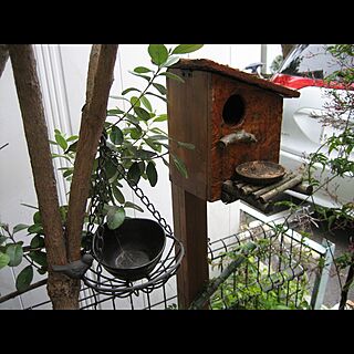 DIY/鳥小屋のインテリア実例 - 2017-04-15 13:06:37