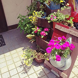 玄関/入り口/雑貨/アンティーク/DIY/観葉植物のインテリア実例 - 2015-07-28 11:50:20