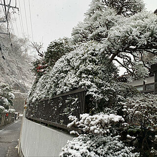この冬初めての雪/さむ～いのインテリア実例 - 2022-01-06 14:51:04