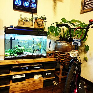 リビング/sbyke/観葉植物のある部屋/TVボード/水槽( ￣▽￣)のインテリア実例 - 2016-03-16 20:23:32
