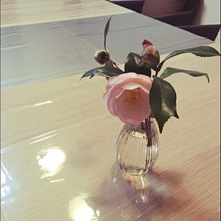 棚/花/椿/花瓶のインテリア実例 - 2016-01-29 01:01:44