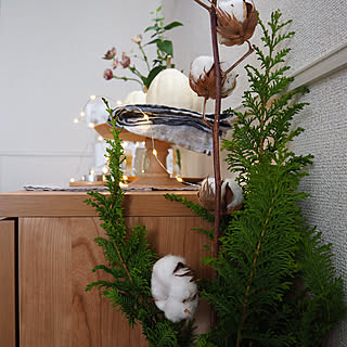 暮らしを楽しむ/植物のある暮らし/いいね、フォロー本当に感謝デス☺︎/おうち時間/心地よい暮らし...などのインテリア実例 - 2020-10-21 13:04:10