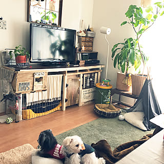 狭いリビング 犬ケージリメイクのレイアウト おしゃれなインテリアコーディネートの実例 Roomclip ルームクリップ
