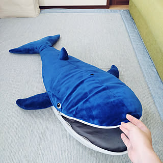 部屋全体/見てくださってありがとうございます/いいねいつもありがとうございます♡/IKEA/クジラのインテリア実例 - 2022-09-09 13:19:30