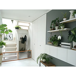 棚/モノトーンナチュラル/観葉植物/ig→mimt38/DIY...などのインテリア実例 - 2018-07-29 11:17:45