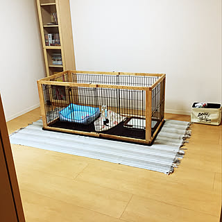 部屋全体/犬小屋/ペットハウス/ペットと暮らす家/ペット...などのインテリア実例 - 2018-07-15 11:27:38