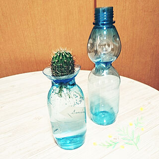 机/2018/7/12/いいね&コメント&フォロー感謝♡/ラムネの空き瓶/プラスチック...などのインテリア実例 - 2018-07-12 14:34:53