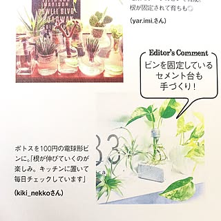 机/中古住宅/関西好きやねん会/ZOO会♡/植物のある暮らし...などのインテリア実例 - 2016-02-27 13:53:05