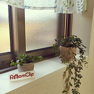 リビング/お気に入りアイテム/窓辺のグリーン/Room Clip ステッカー/植物...などのインテリア実例 - 2017-08-21 16:53:35