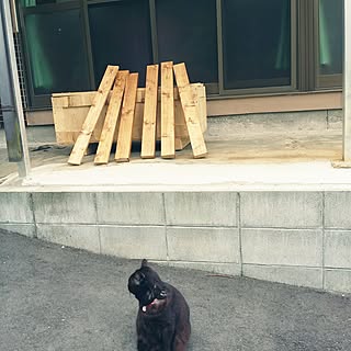 玄関/入り口/中古戸建て/溢れ出す生活感/昭和の家/生活感たっぷり...などのインテリア実例 - 2016-05-02 14:39:05