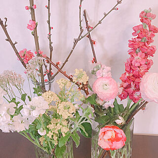 棚/季節のお花/牡丹/桜の花/お花のある暮らし...などのインテリア実例 - 2018-03-06 12:15:47