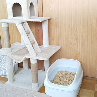 猫トイレ/ねこのいる日常/ねこと暮らす。/ニャンとも/猫ちゃん想いのインテリア実例 - 2020-11-22 15:09:04