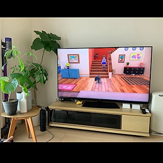 ダイソン掃除機/観葉植物/テレビ周り/ポケモン/ニトリのテレビボード...などのインテリア実例 - 2023-01-09 13:48:24