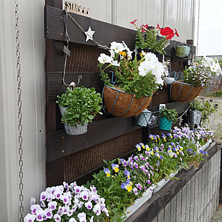 壁/天井/無修正pic/植物/花のある暮らし/みどりのある暮らし...などのインテリア実例 - 2017-08-11 10:14:49