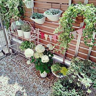 鉢植え 砂利の庭のおしゃれなアレンジ 飾り方のインテリア実例 Roomclip ルームクリップ