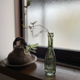陶器の花瓶/瓶/春/植物のある暮らし/逢...などのインテリア実例 - 2022-05-30 17:00:39