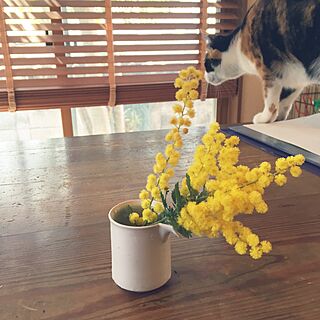 花のある暮らし/古い物好き/うちの猫/アンティークのインテリア実例 - 2016-03-05 10:21:50