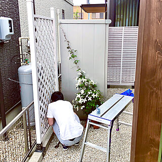 白のフェンスで明るく/コレ、DIYしたよ！/DIY/裏庭改造中。/小さな庭...などのインテリア実例 - 2020-05-04 10:23:37