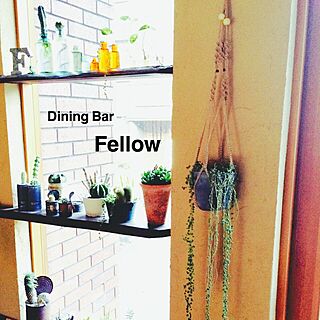 棚/Dining Bar Fellow/プラントハンガー/Peroちゃんプラントハンガー/多肉植物...などのインテリア実例 - 2014-11-29 09:03:53