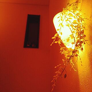 階段の照明/花/照明/癒し/シンプルライフ...などのインテリア実例 - 2017-04-10 20:15:33