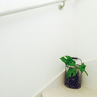 階段にも癒し♡/観葉植物のインテリア実例 - 2014-03-10 19:58:10