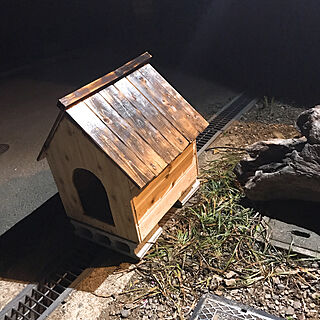 インスタ→pepe_garden/流木/石積みのある庭/犬小屋DIY/ベッド周りのインテリア実例 - 2019-04-18 20:56:46
