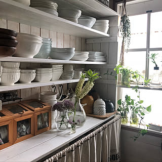 パイナップルリリーのインテリア実例 Roomclip ルームクリップ